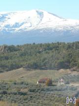 El Zalabí con el fondo de Sierra Nevada