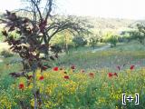 Paisaje de nuestro valle