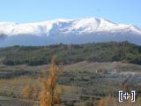 La ermita del Zalabi con el fondo de Sierra Nevada y los pinos.