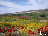 Paisaje desde el Zalabí