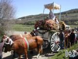 Romería de la Virgen de la Cabeza