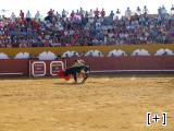 Corrida de toros